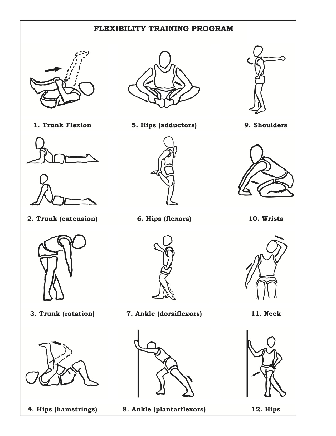 flexibility exercises examples